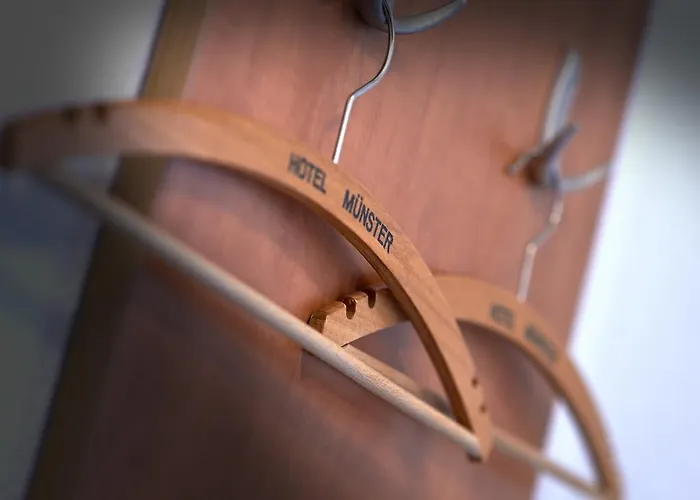 Muenster فندق إملسهاوزن